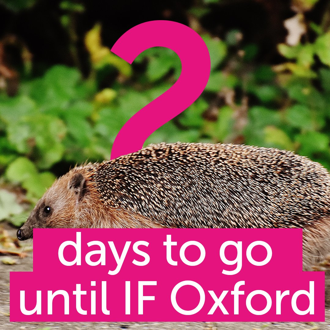 Oxford_IF's tweet photo. Get moving and seek out the best bits of the science and ideas Festival for you. Maybe meet a humours #hedgehog or a giggling #glowbug in Freedom of Movement…? 🦔🐞
Make sure you have all your events booked to avoid disappointment
👉 BOOK NOW
https://t.co/57GZUXfcZt
#IFOx2021 https://t.co/j0EPhMLWwO
