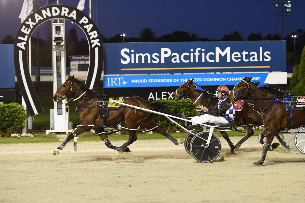 Due to COVID level 3 restrictions, we remain closed to the public tonight. 🏆🐴
Catch all the live action on Trackside TV or Stream Free from HRNZ  buff.ly/3op7gIG