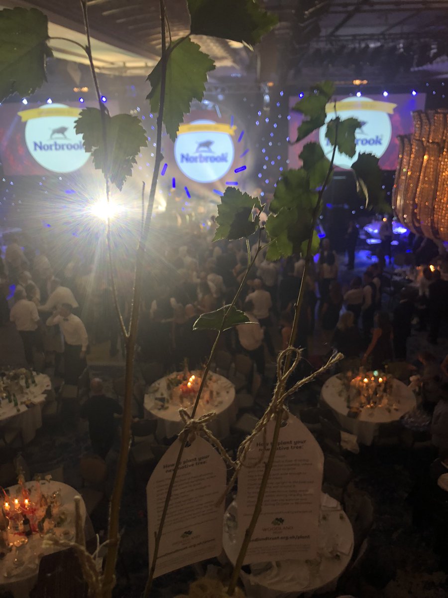 So it’s midnight and I’m babysitting 3 silver birch trees at the biggest party I’ve been to in a two years. <a href="/FarmersWeekly/">Farmers Weekly</a>  <a href="/FW_Awards/">FarmersWeekly Awards</a> #FWawards #lifegoals #greatnight #luckytobehere 💕💕