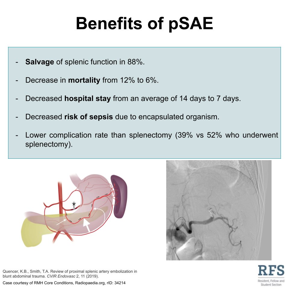 Splenic Artery