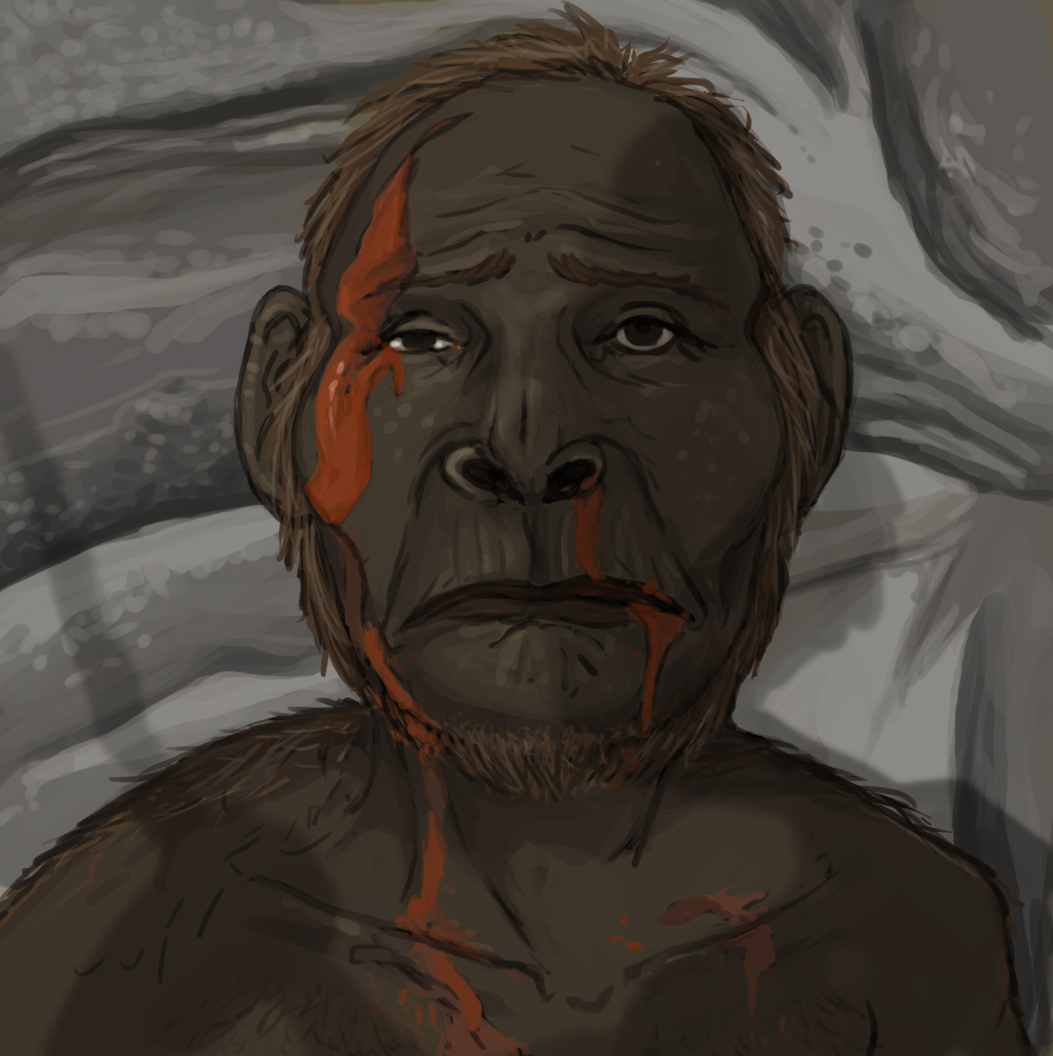 H. neanderthalensis; H. sapiens
H. ergaster; H. habilis