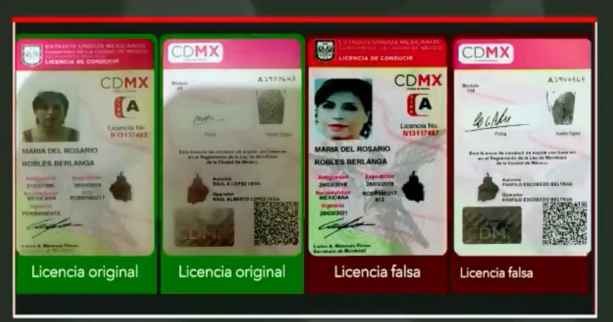 azucenau's tweet photo. "Se ha confirmado que la licencia es totalmente falsa": Epigmenio Mendieta, abogado de Robles Berlanga #AzucenaxFórmula https://t.co/5xuvgySDif