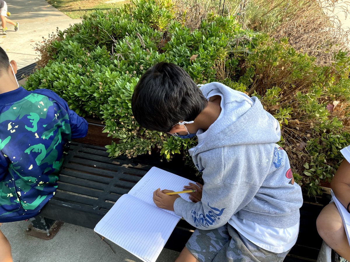 PleasantonUSD's tweet photo. Some of our Donlon Cubs began their week by drawing plants they found around campus! #PUSDedu https://t.co/0TZOPGB7EI