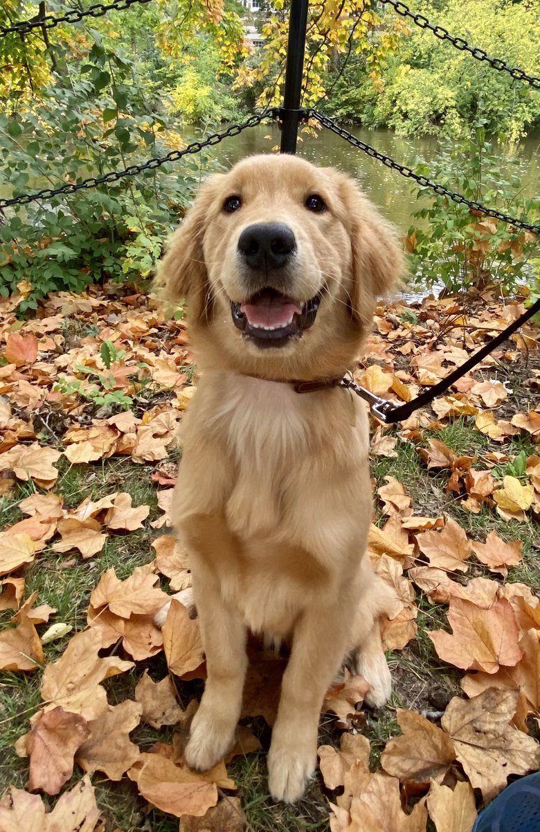 Beth Ann Nichols tweet media