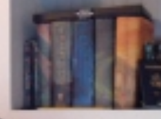 zgelfs's tweet photo. An entire generation knows exactly what these blurry books are in the background of your zoom https://t.co/tCinF9cpVx