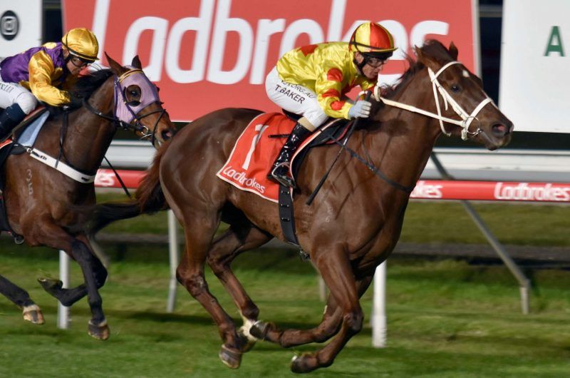 Coronation Keith made a grand entry to the new season with an impressive first-up win in race 4 in Launceston on Wednesday night for trainer Siggy Carr. Read more about the win here: bit.ly/3DnvgQu