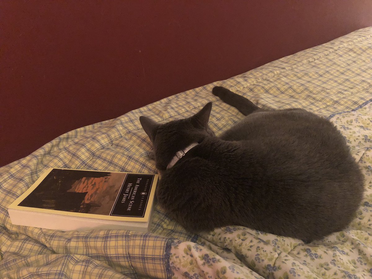 My evenings are all about Masha and Henry James ❤️