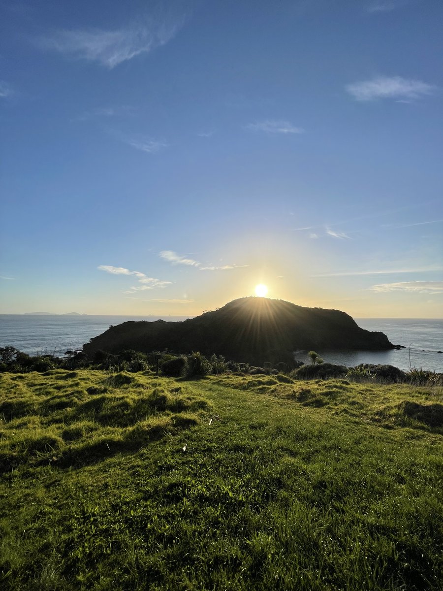 Still here... just hanging out waiting for COVID to settle...diving.co.nz/news