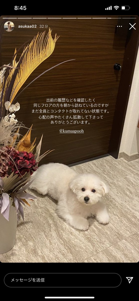 __aichaso's tweet photo. ほんとにほんとに見つかって。 https://t.co/iyv4whI1IF