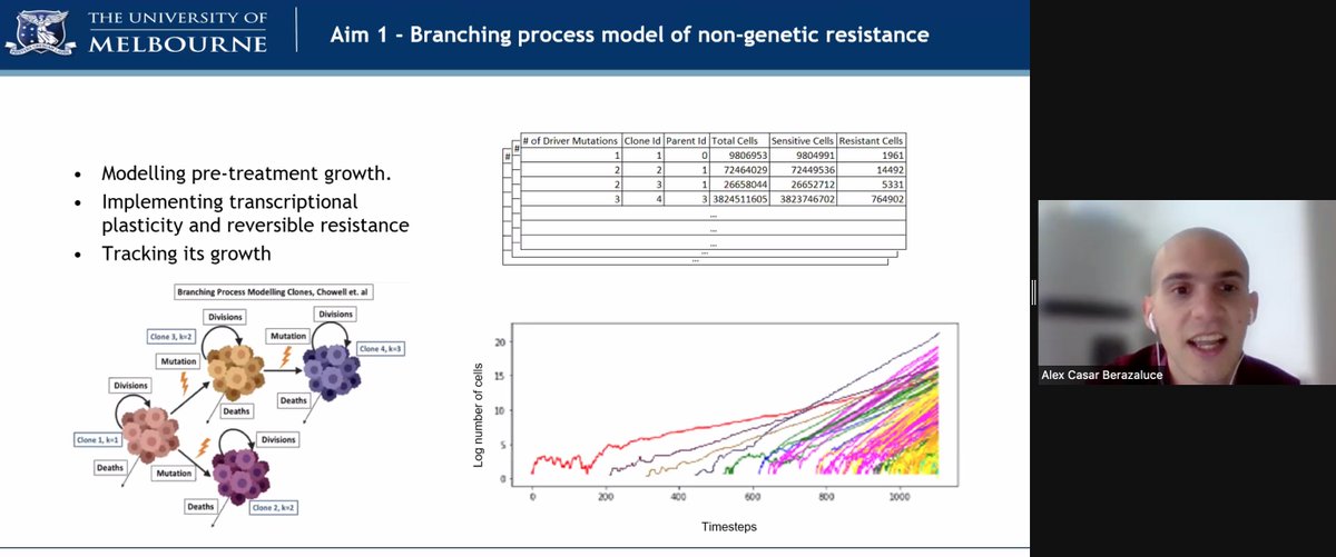 VicCanBioinf's tweet image. AC simulating the evolution of a cancer, including selection through driver genes and non-genetic resistance state. #vcbs2021