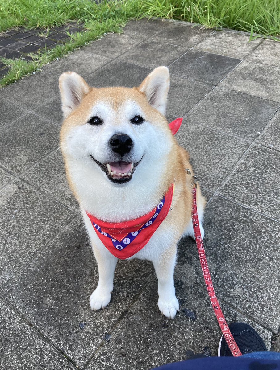 Wxn 692maomao Twitter