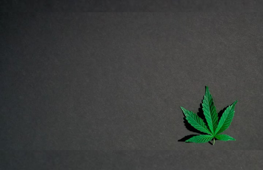 Gov. Gavin Newsom Approves: Smokable Hemp And Sale Of CBD-Infused Foods And Drinks Finally Legit In California #business #industry #CBD #infused #Hemp #USA #California bit.ly/3oM63ez