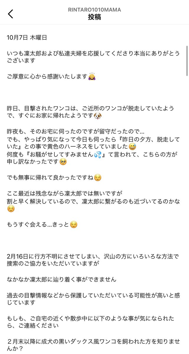 rintaro_maigo's tweet photo. #迷子犬りん太郎 #迷い犬 #福岡
・2/16 福岡県筑紫野市 天拝湖周辺で失踪
・チワワとダックスのミックス
・黒茶、4歳
・人見知り犬見知り

☑️迷子の黒い小型犬を見ませんでしたか？

☑️似た犬を見かけたら
(遠くからでも)写真や動��撮影して頂けると助かります

お電話にて情報お待ちしています🙇☎️ https://t.co/Rp3pguDpN2