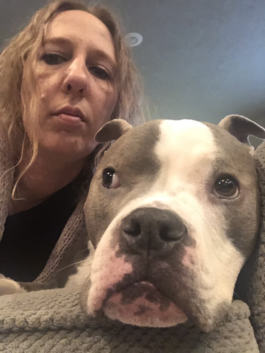 BumblingBlond's tweet photo. Tried to give Tasia a kiss. She tried to kiss me at the same time. So, I kissed the underside of her tongue. It was squishy. It was slimy. And I think I now know what kissing a slug is like. 🤢🤢 So, how is you day?? #dogs #DogsofTwittter #gross #dogsaregross https://t.co/G3z1uU1PH2
