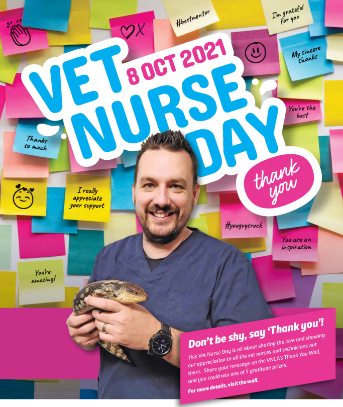 veterinary nurse watch