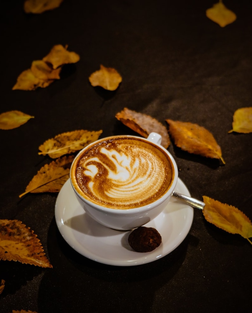 SouthernMug's tweet photo. FALL.  It's a favorite Season here in the South. 

Are you coffee-stocked?  

At Southern Mug, we've got you covered.  
Order your favorite sack of beans tonight and we'll take care of the rest.  

https://t.co/3sKjIo3PWX

#coffeethatfeedsthesoul https://t.co/wGns4naqOe