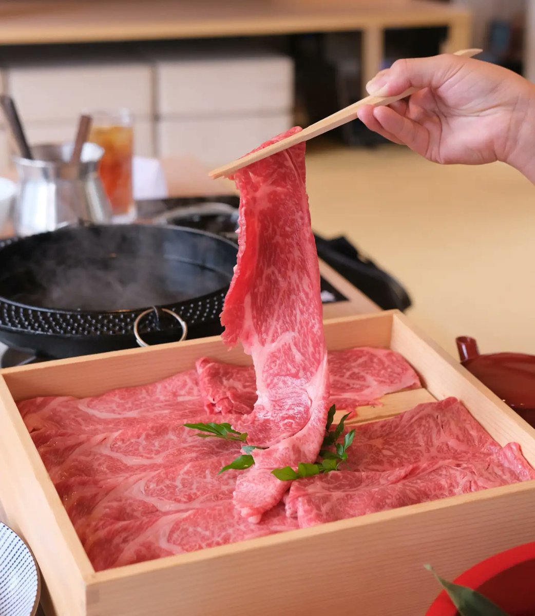 ichiharajunichi's tweet photo. 大阪屋形船 

完全予約制の松茸&amp;肉食べ放題
屋形船に揺られながら食べるすき焼きは最高でしかない 

出港して戻るまでは松茸も肉も食べ放題約1時間半〜2時間くらい 

前回は出来る限り食べまくってやろうと肉を最初にガッツいて自滅笑　
肉が美味しいからやりがちのミス https://t.co/CTpPni6GeW
