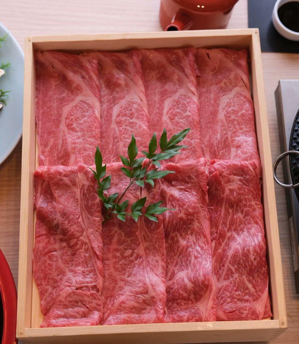 ichiharajunichi's tweet photo. 大阪屋形船 

完全予約制の松茸&amp;肉食べ放題
屋形船に揺られながら食べるすき焼きは最高でしかない 

出港して戻るまでは松茸も肉も食べ放題約1時間半〜2時間くらい 

前回は出来る限り食べまくってやろうと肉を最初にガッツいて自滅笑　
肉が美味しいからやりがちのミス https://t.co/CTpPni6GeW