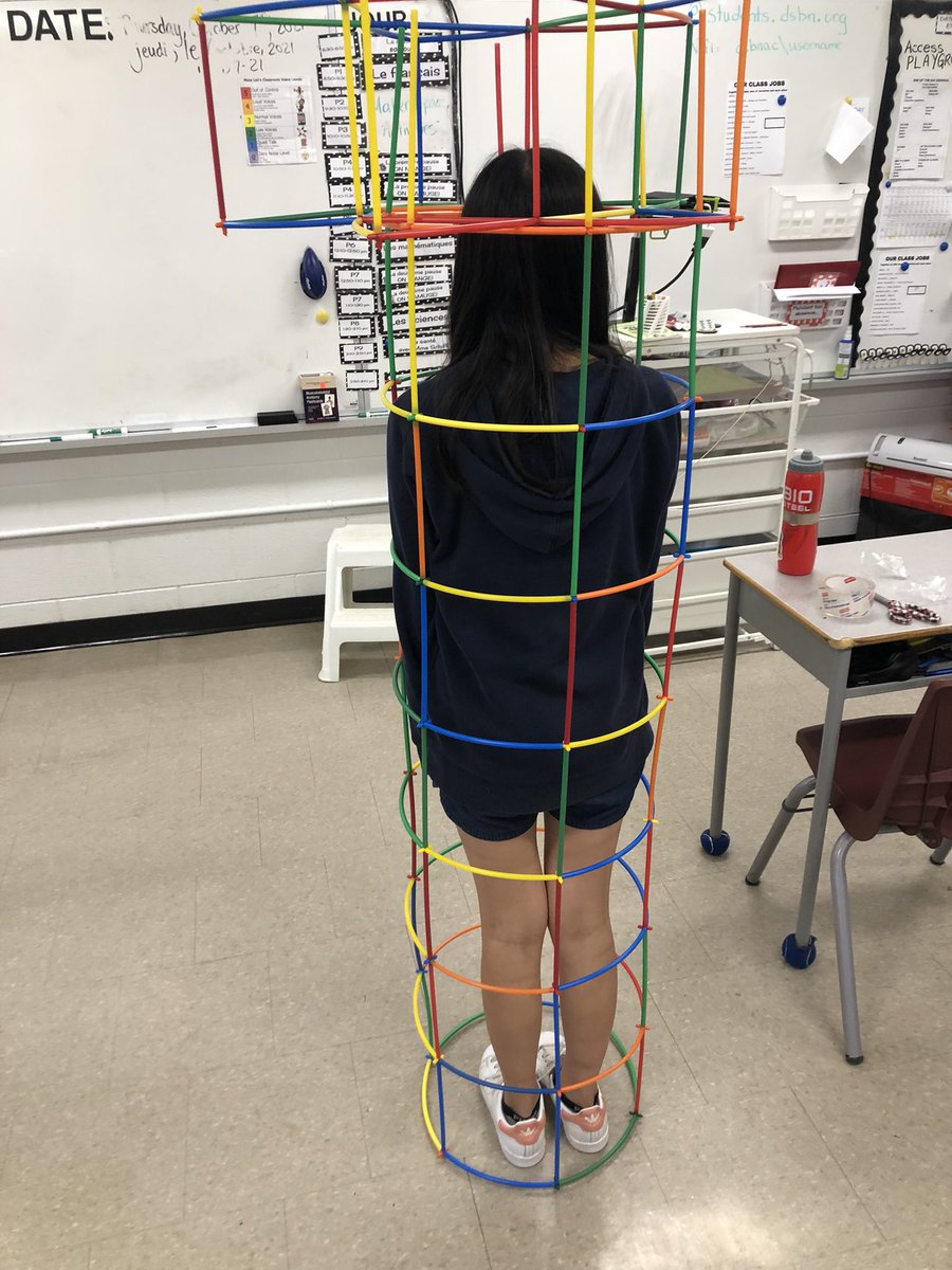 Just a regular day in 5-1 😆 What math do you see? What do you notice? What do you wonder? <a href="/DalewoodDragons/">Dalewood School</a> #dsbn #mathpicturw