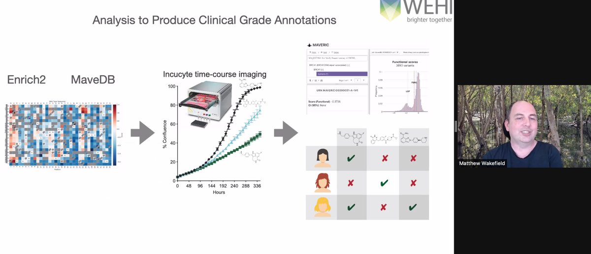 VicCanBioinf's tweet image. MW points out that many cancers acquire resistance to PARP1 inhibitors, the most difficult to deal with being mutations in PARP1 itself. MW goes on to study functionality of all mutations in PARP1 using maveDB and molecular dynamics. #vcbs2021