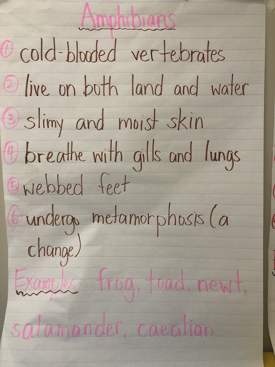 MsLuongEdu's tweet photo. Anchor charts about the different #Animal groups after watching our collection of videos during the week 🐻🦁🐸🦋🐥🦅🐧🐜🐞🐝 https://t.co/n5867yC5YV