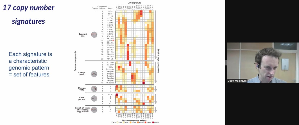 VicCanBioinf's tweet image. GM using 5 basic properties of CNA profiles to classify copy number events used to feed into the NMF. This resulted in 17 different signatures, that they then try to interpret and assign etiology. #vcbs2021