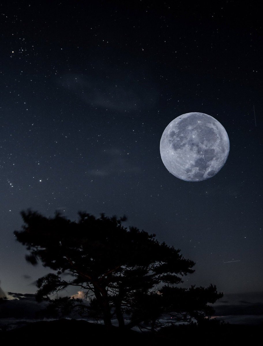 写真サークル Wisteria Photoc Wisteria Twitter