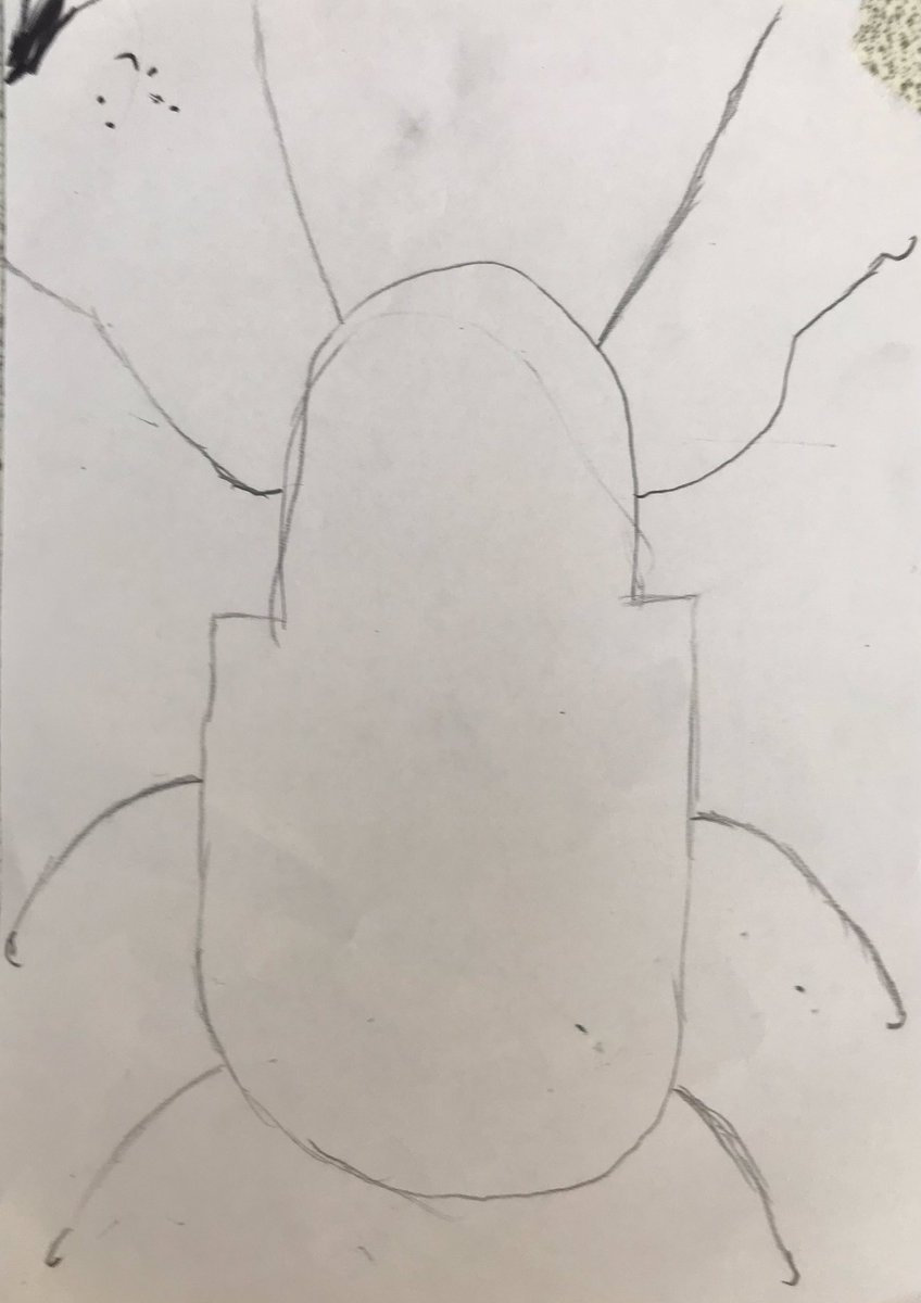CAFSSHS's tweet photo. Before instruction and after instruction bug drawings by our S1โs. So impressed at how much they listened and took on board advice. Completely nailed it! #Ststephenshs https://t.co/Gz4EBb0gWv