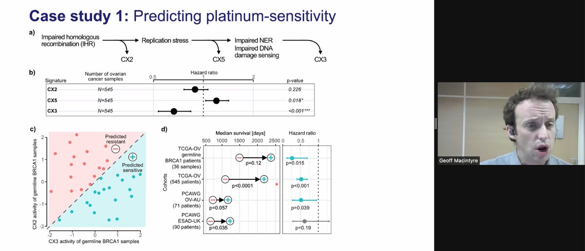 VicCanBioinf's tweet image. GM: Some of the 17 copy number signatures have clear etiologies (many stars), others do not. GM then goes on to applications, showing an example of predicting drug sensitivity based on one of the CNA signatures, CX3. #vcbs2021