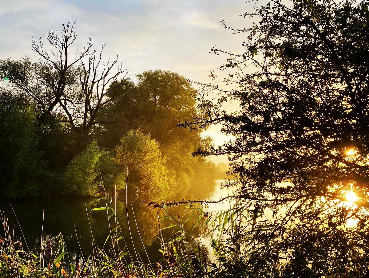 BartBoswachter's tweet photo. Fort Giessen in het ochtendgloren! #herfst #zonsopkomst #unesco #unescoworldheritage #fortGiessen #brabantslandschap #bestofbrabant #nieuwehollandsewaterlinie #odehollandsewaterlinies https://t.co/rBEs1Cboev