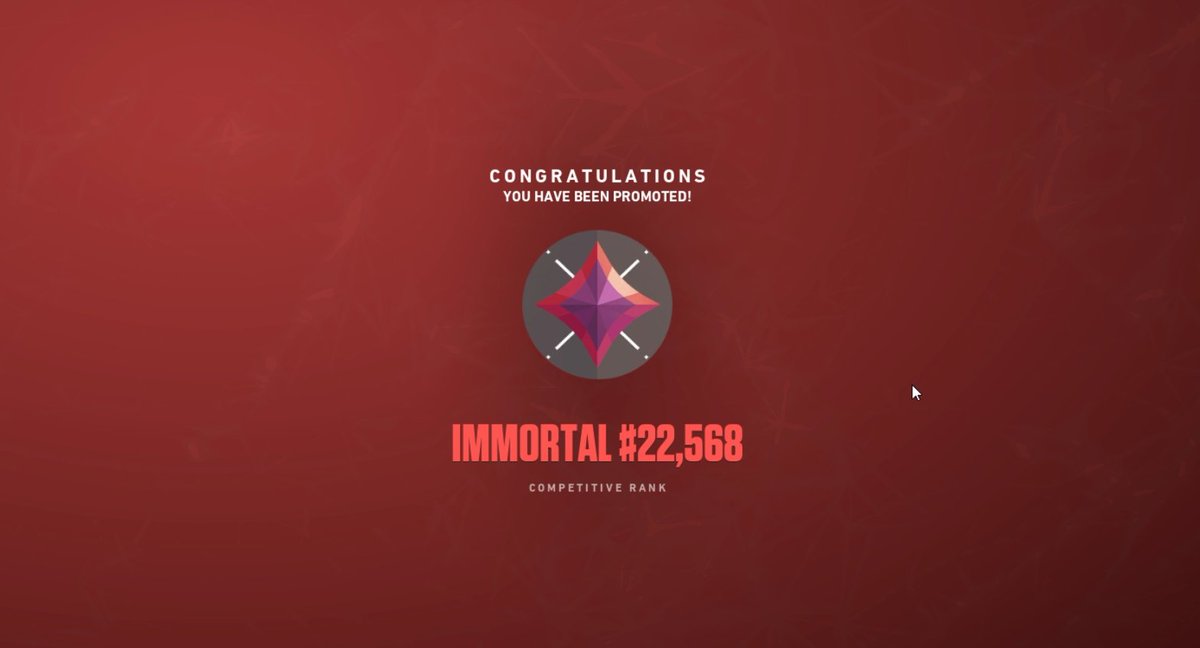 Panda 🇲🇦 🇵🇸 tweet media