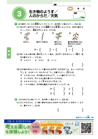 ちびむすドリル Hnmika Twitter