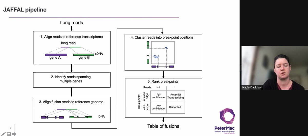 VicCanBioinf's tweet image. ND modified her RNA-Seq short-read fusion caller JAFFA to work on long reads. Simulations across a range of sequence identity, for nanopore and pacbio tech, shows great performance, outperforming other methods. #vcbs2021