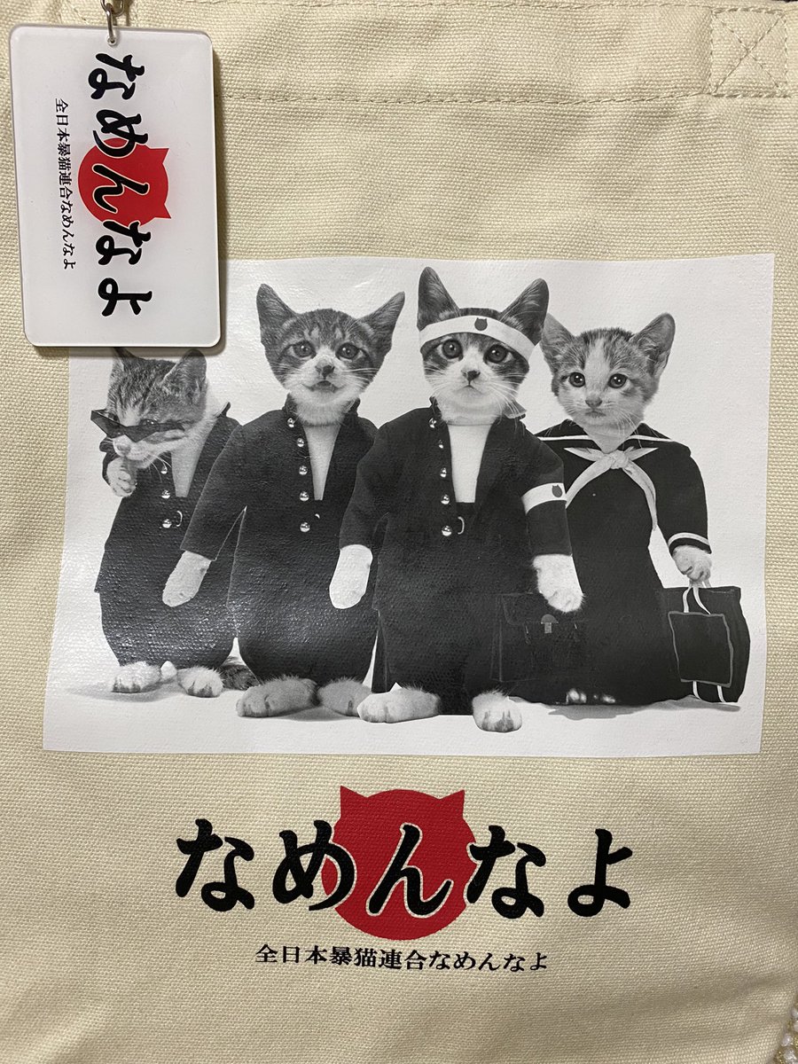 人気第1位 なめ猫 当時物 レター 封筒 デッドストック グッズ 全日本暴猫連合 なめんなよ 安心の日本製 Onup Com Br