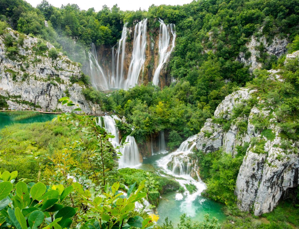 cooloplast_'s tweet photo. WOW 🤩 an amazing view thanks to Chloroplast! #EukaryaElection2021 #natureiscool #green #vote https://t.co/n71eXoyqFJ
