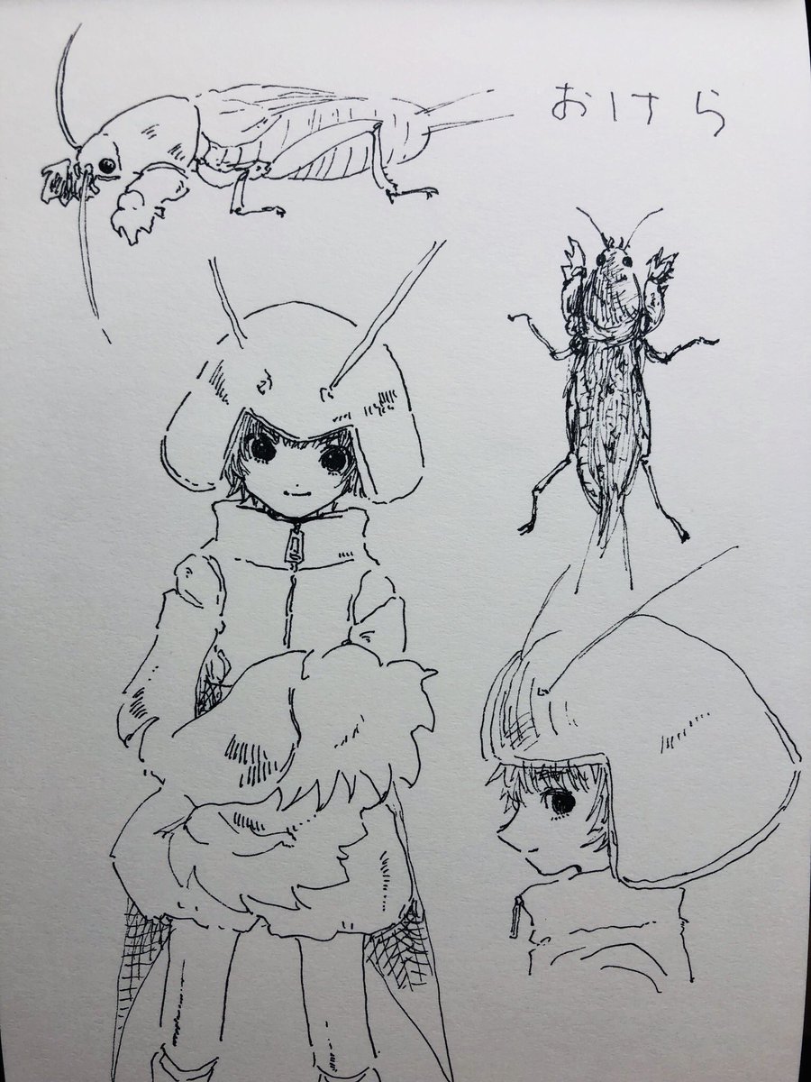 おけら 擬人化 