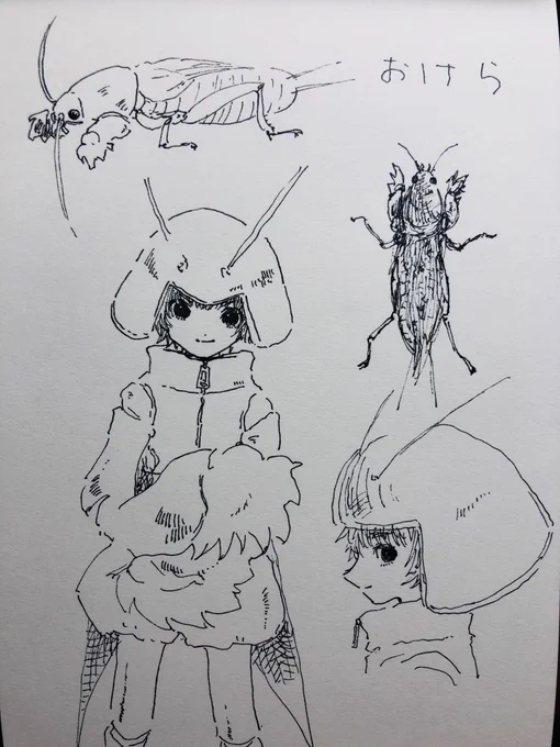 おけら 擬人化 