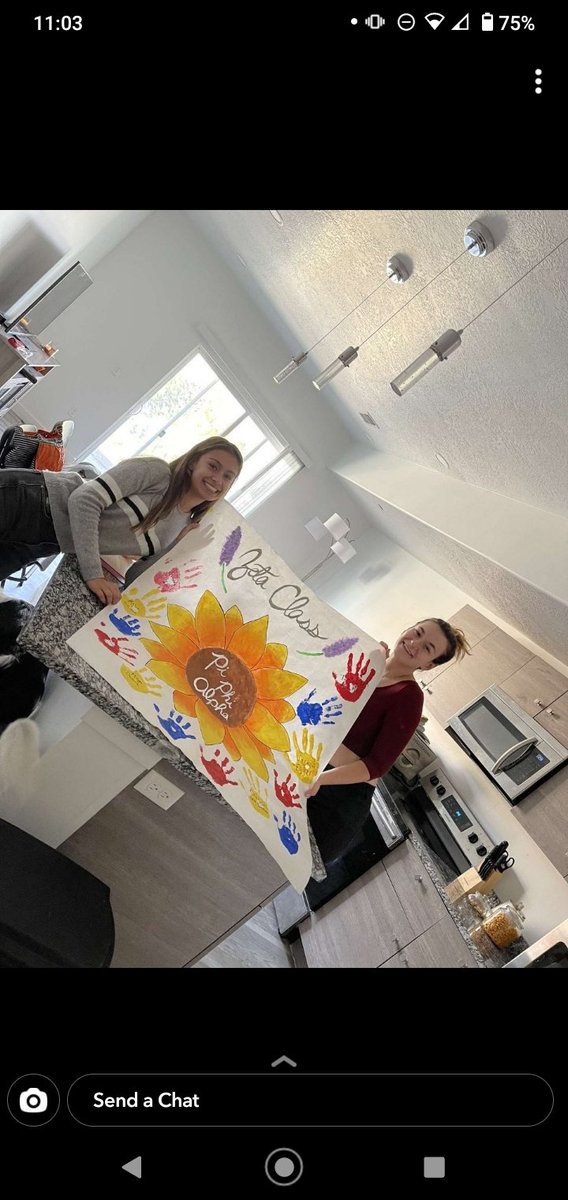 piphialpha's tweet image. Our cute pledges making their banner 😋