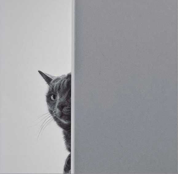 LunaTheGreyTuna's tweet photo. Peaking at the weekend like…

#catnoirfriday #tgif #friyay #cats #catsoftwitter #weekendinsight https://t.co/3npTVco8Ow