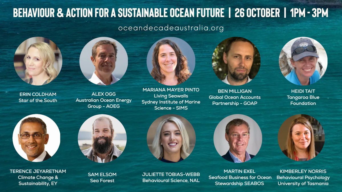 karen evans tweet media