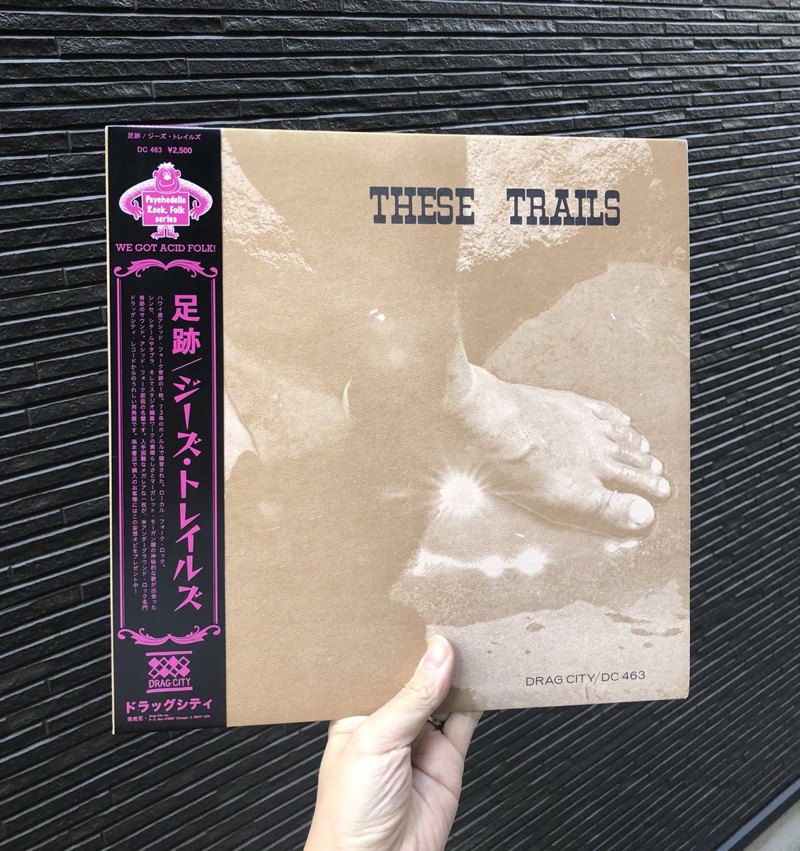 THESE TRAILS(1973)
2011年のDragCityからの再発盤に
#妄想オビ