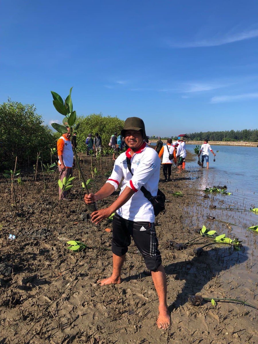 Bpdashlka's tweet photo. Salam #sobathijau, Guna memulihkan ekosistem, maka bersama kita bisa pulihkan mangrove melalui penanaman bersama di seluruh Indonesia. Keluarga Besar BPDASHL Krueng Aceh menanam bersama di Desa Lamnga, Kecamatan Masjid Raya, Kabupaten Aceh Besar.

#ayomenanam
#penanamkebaikan https://t.co/RFiIj23Fm2