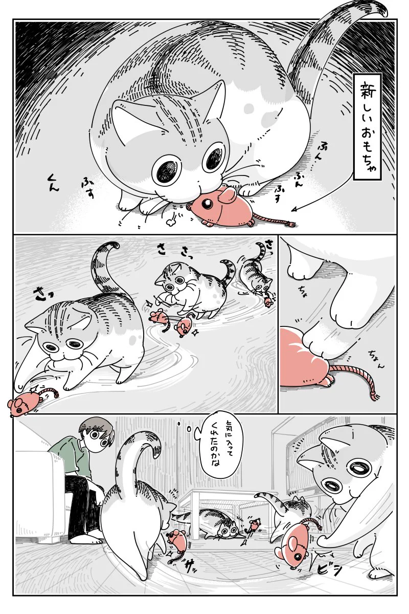 さっきまで遊んでいたおもちゃが、いつの間にか別のものに･･･！可愛くて癒される猫漫画が話題に！