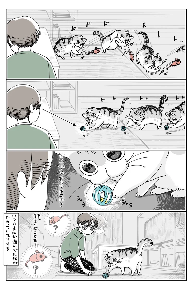 さっきまで遊んでいたおもちゃが、いつの間にか別のものに･･･！可愛くて癒される猫漫画が話題に！