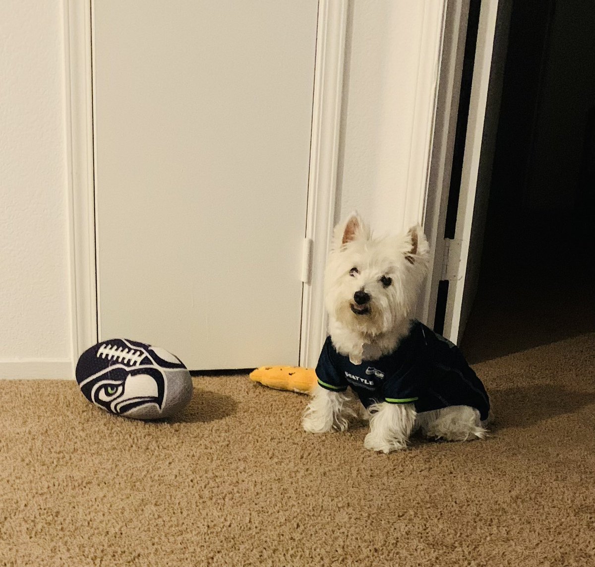 Hey hawks 
STOODIS #SEAHAWKS #GOHAWKS #Seattle