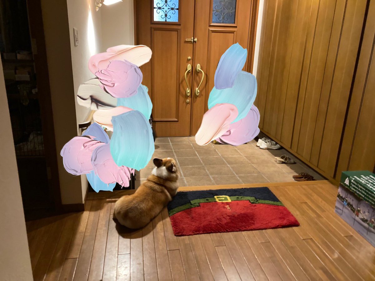 WC_RON's tweet photo. 【泣ける話】
みんなが仕事から帰って来る時間になると、こうして玄関で帰りを待つのです。
健気だわ〜(蜜璃ちゃん風)

#忠犬ハチ公 #ロン https://t.co/qHRgt6XHH9
