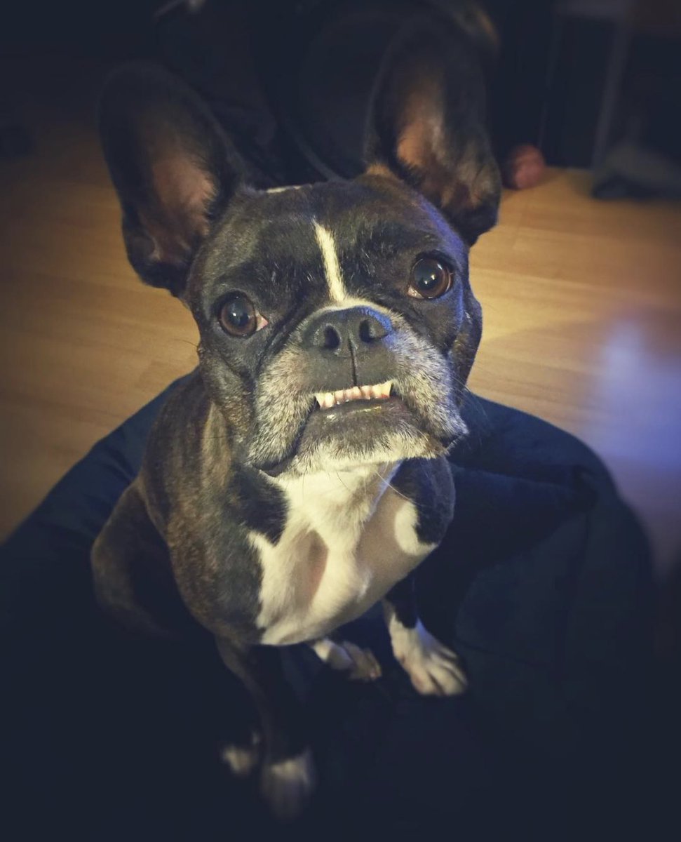 doctr_captn tweet media