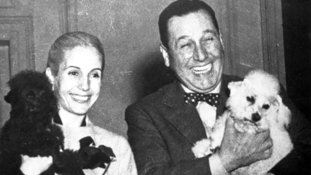 eldestape_radio's tweet photo. 🌉 Se termina #SiUnaNoche con un tema que tanto nos gusta a la mayoría de los mascoteros: #UnPerro
✌️Infaltable la historia de los perritos peronistas, para terminar con "Does the dog die": el tipo que se obsesionó con las películas sobre perros 😮
📻FM107.3 https://t.co/HeEgKwIItB