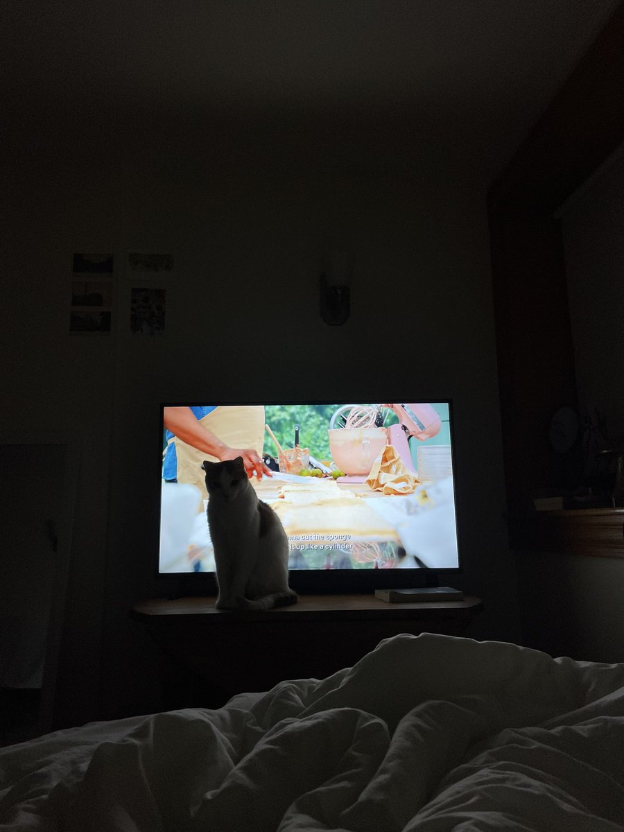 melaniebren's tweet photo. Randall please move the great british baking show is on https://t.co/Vl4xY0C678