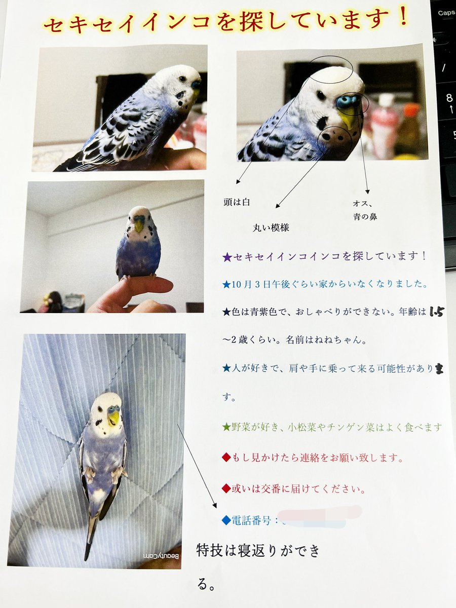 ChenYujie2's tweet photo. セキセイインコを探しています。
10月3日に東京都日野市でいなくなりました。
色は青紫っぽいです。
見かけた方連絡お願いします🥺 https://t.co/NBu4ntSmo6